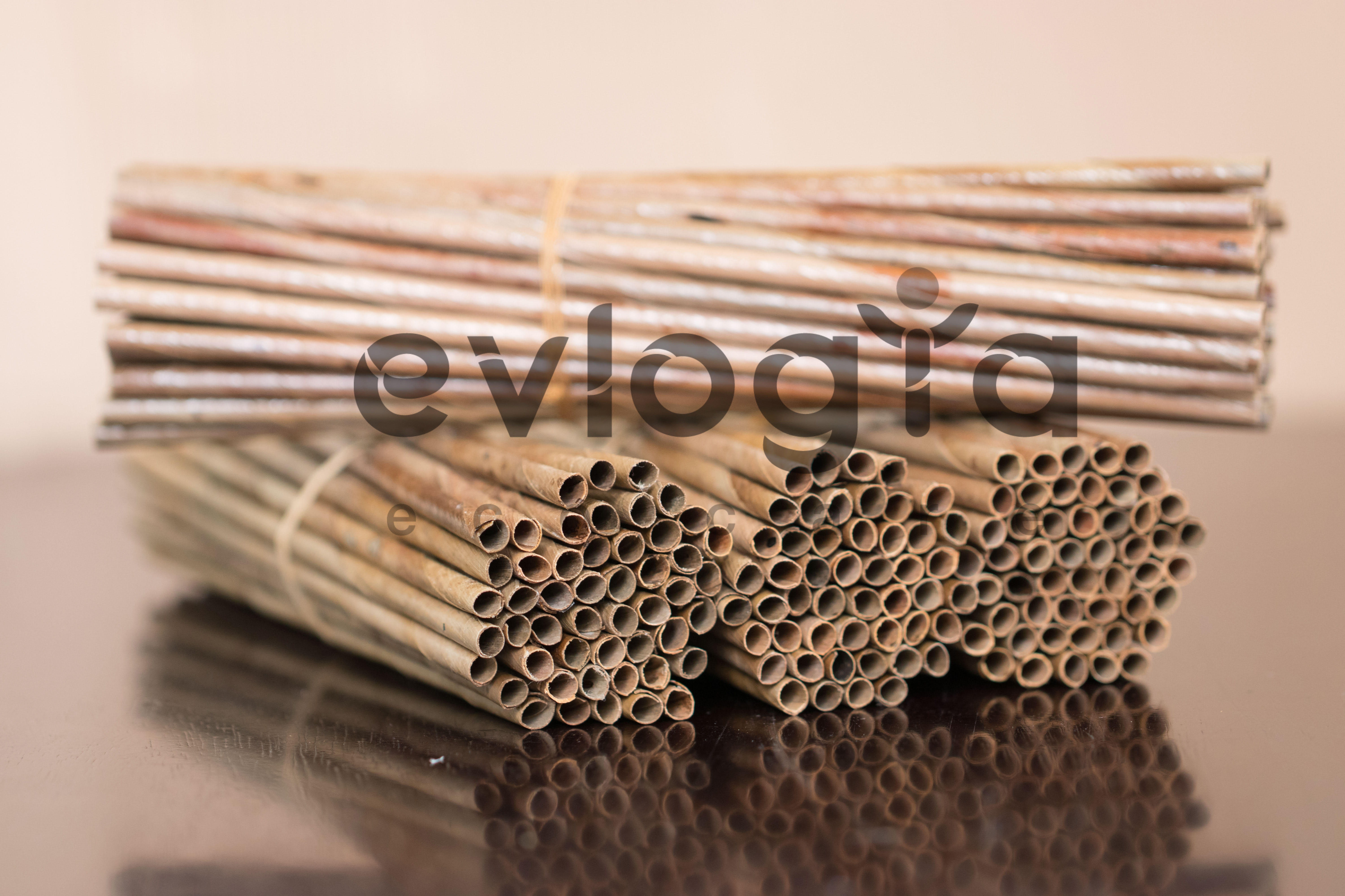 Bengaluru Startup Converts Fallen Coconut Leaves Into Straws & Empowers Women